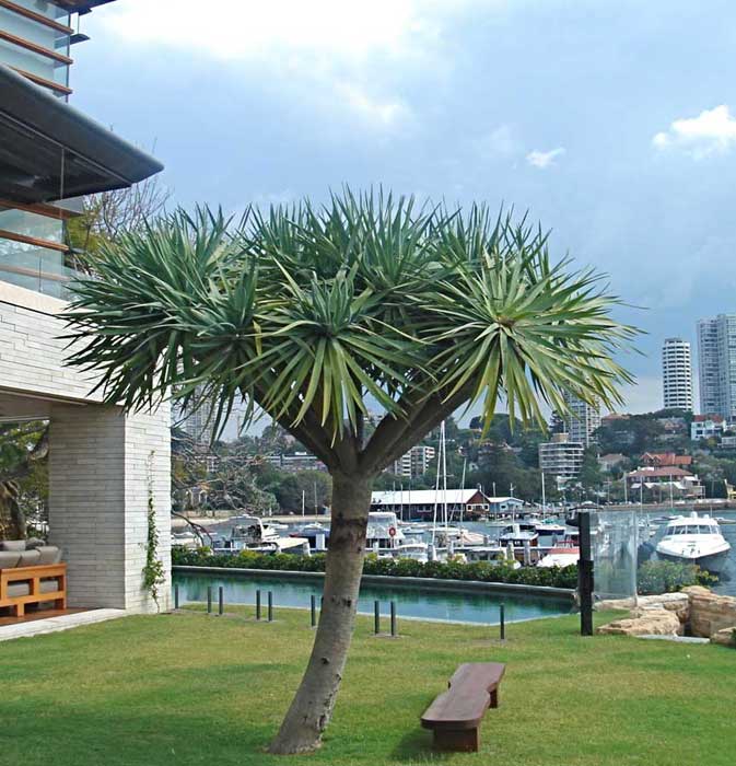 Sydney residence 06